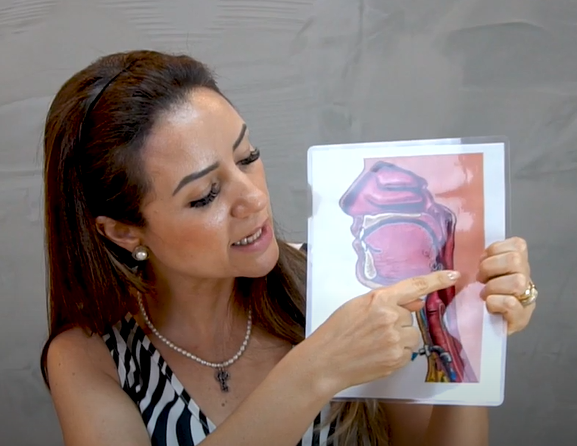 Tem muita secreção adentrando o vestíbulo laríngeo – Motility Oral.