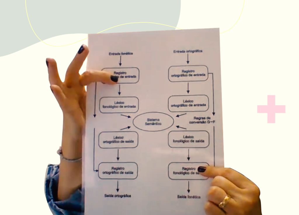 Como diferenciar as paralexias: problema está em registro fonológico de entrada ou registro fonológico de saída? – Fono Hospitalar Motility Oral. 